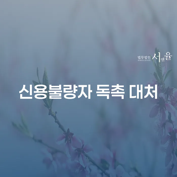 신용불량자 독촉 대처 방법은 무엇인가요?