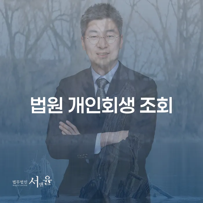 법원 개인회생 조회, 당신에게 필요한 해결책이 될 수 있을까요?
