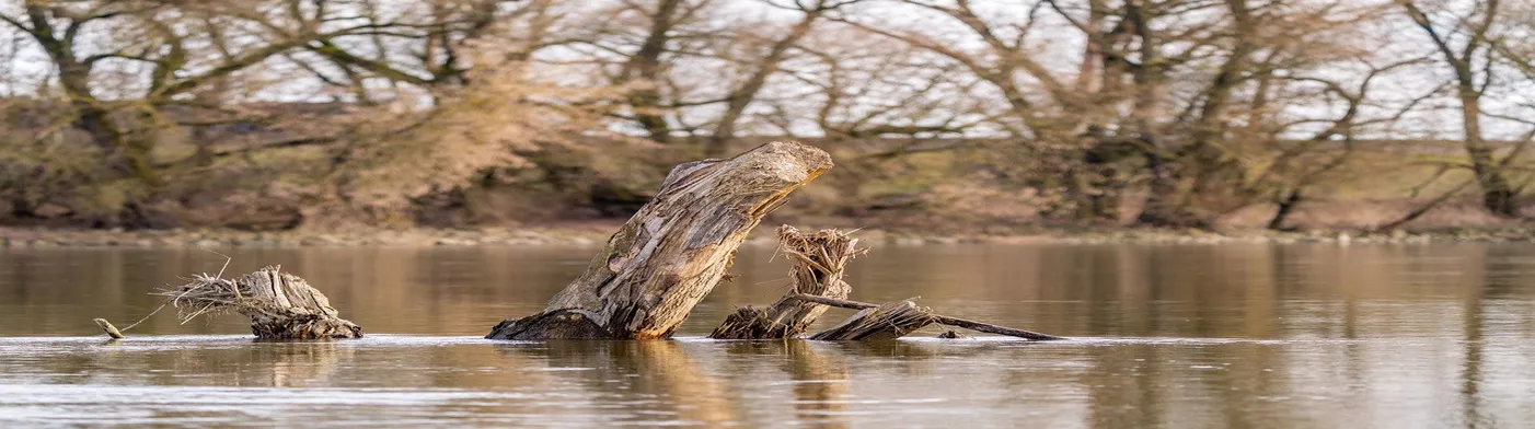 법무법인 서앤율